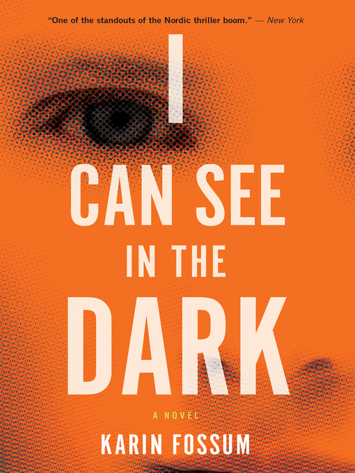 Title details for I Can See In the Dark by Karin Fossum - Wait list